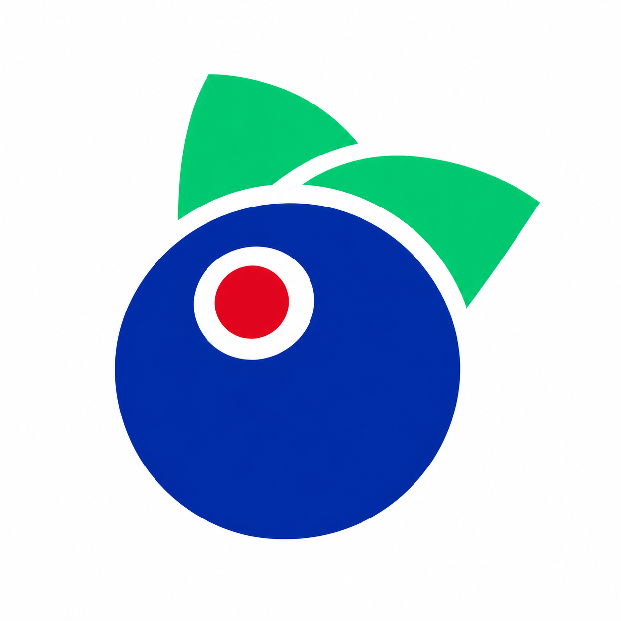 Blueberry Stay Japan